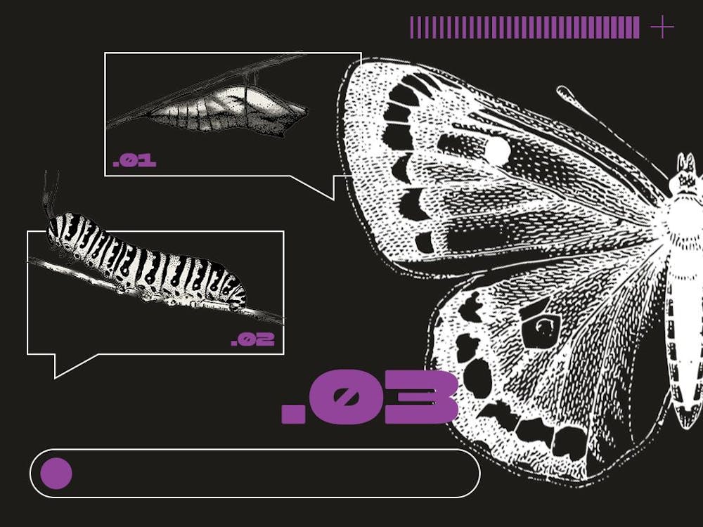 milliner-academic-metamorphosis-digital