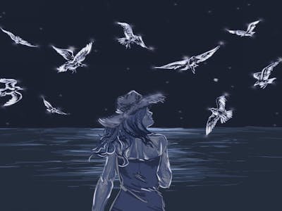 Wishing On Feathered Stars