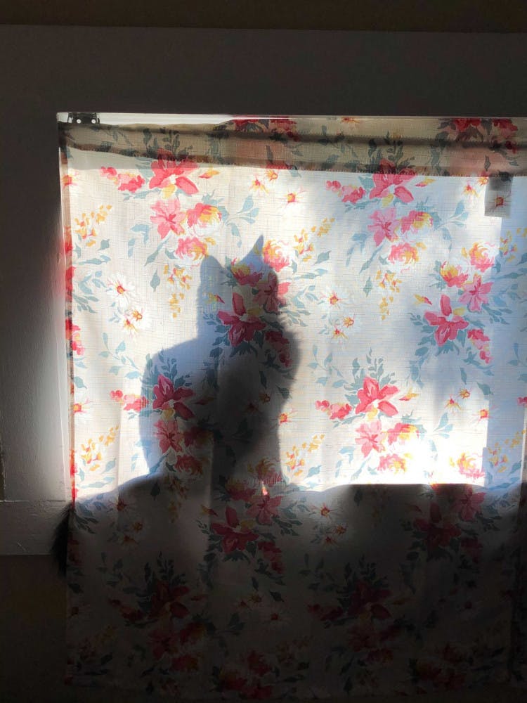 Image-from-iOS-18-scaled