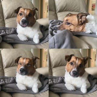 F01B8397-2874-4CE3-8643-45D95782F8C9