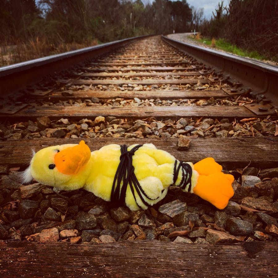 2BBDDDCE-CF86-4FA8-B3CB-587EC0D36FC3-Hadley-Schaffer