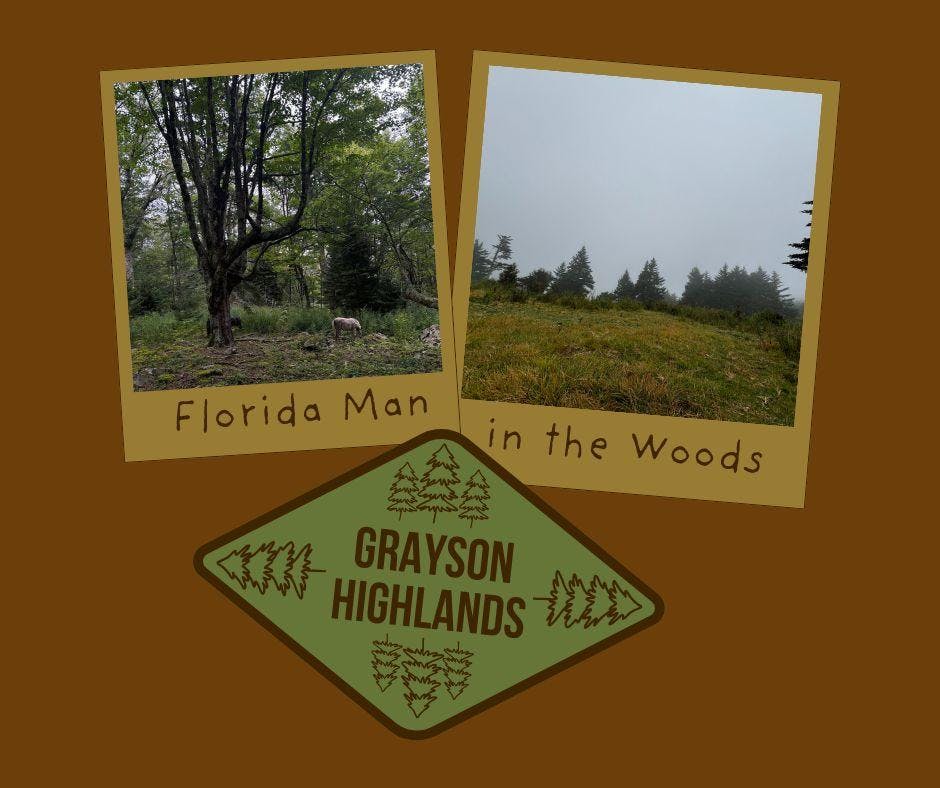 blog post thumbnail - 1