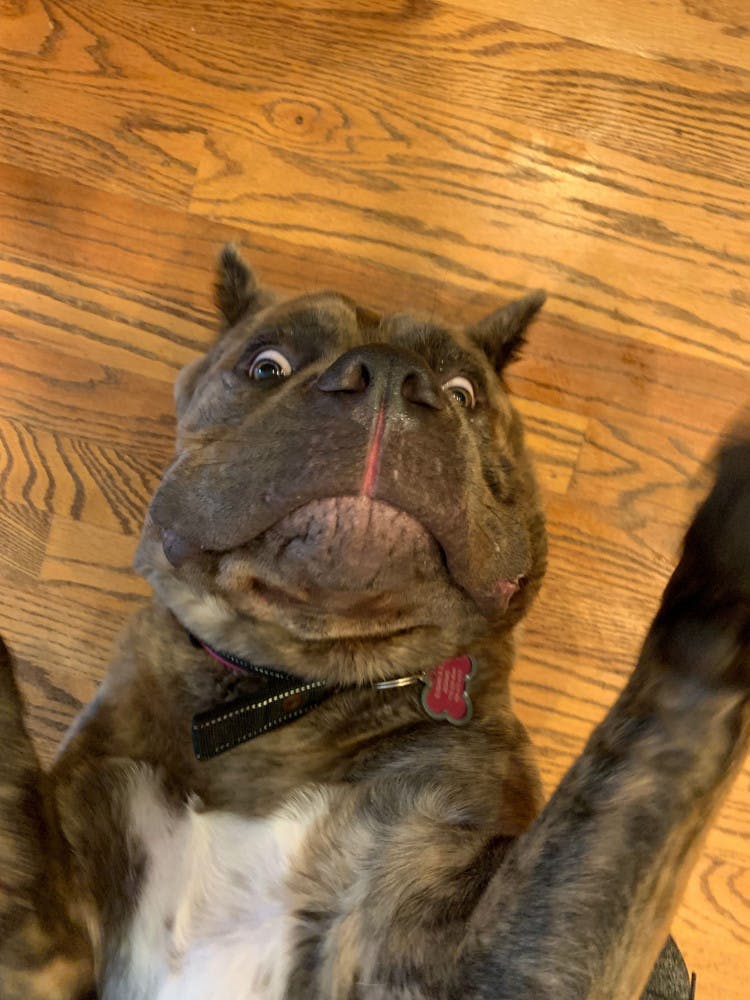 Image-from-iOS-2-1-1-scaled