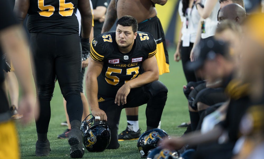 27946_cfltigercats_rgb_44o