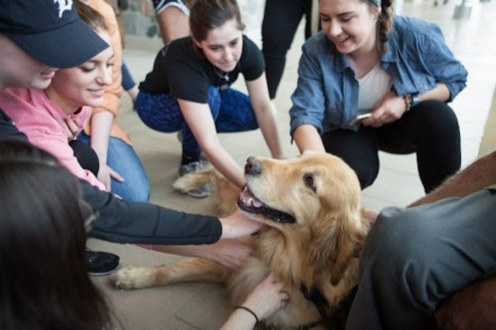 170424-therapy-dogs-1340-rgb