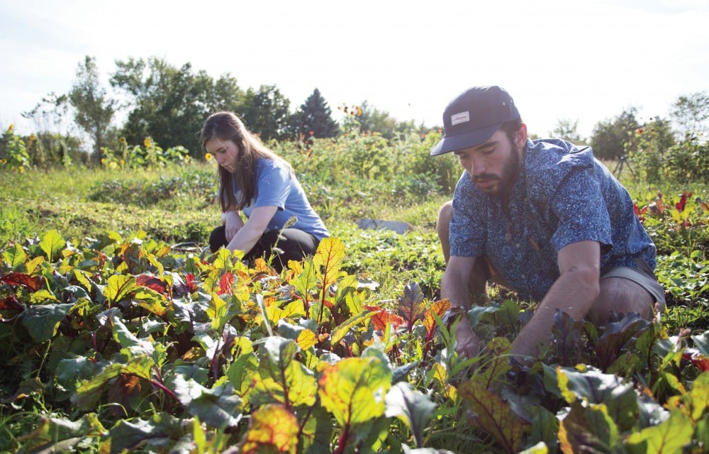 farm_rgb_02