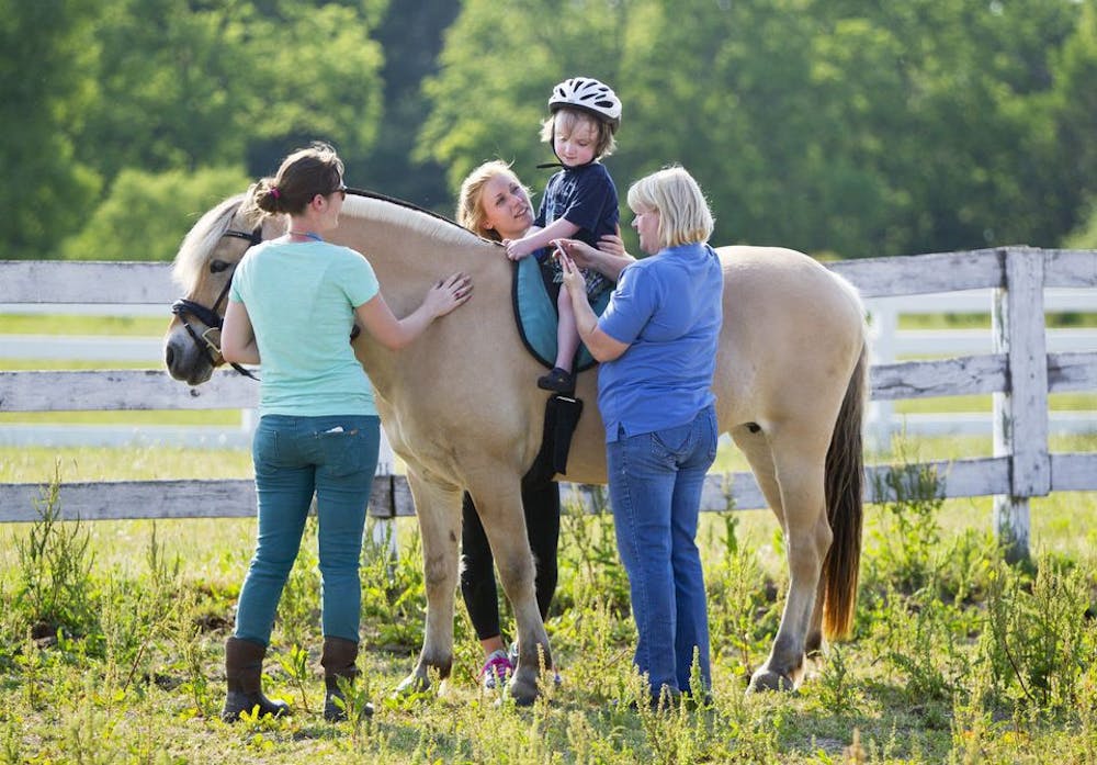 hippotherapy_rgb00