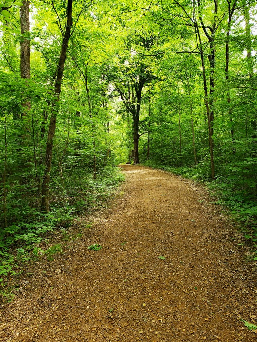 lincolntrail