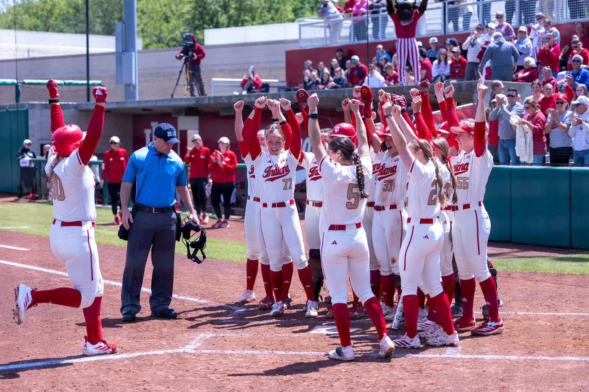 bird 5-3 ILL Lindsey Soet.jpg
