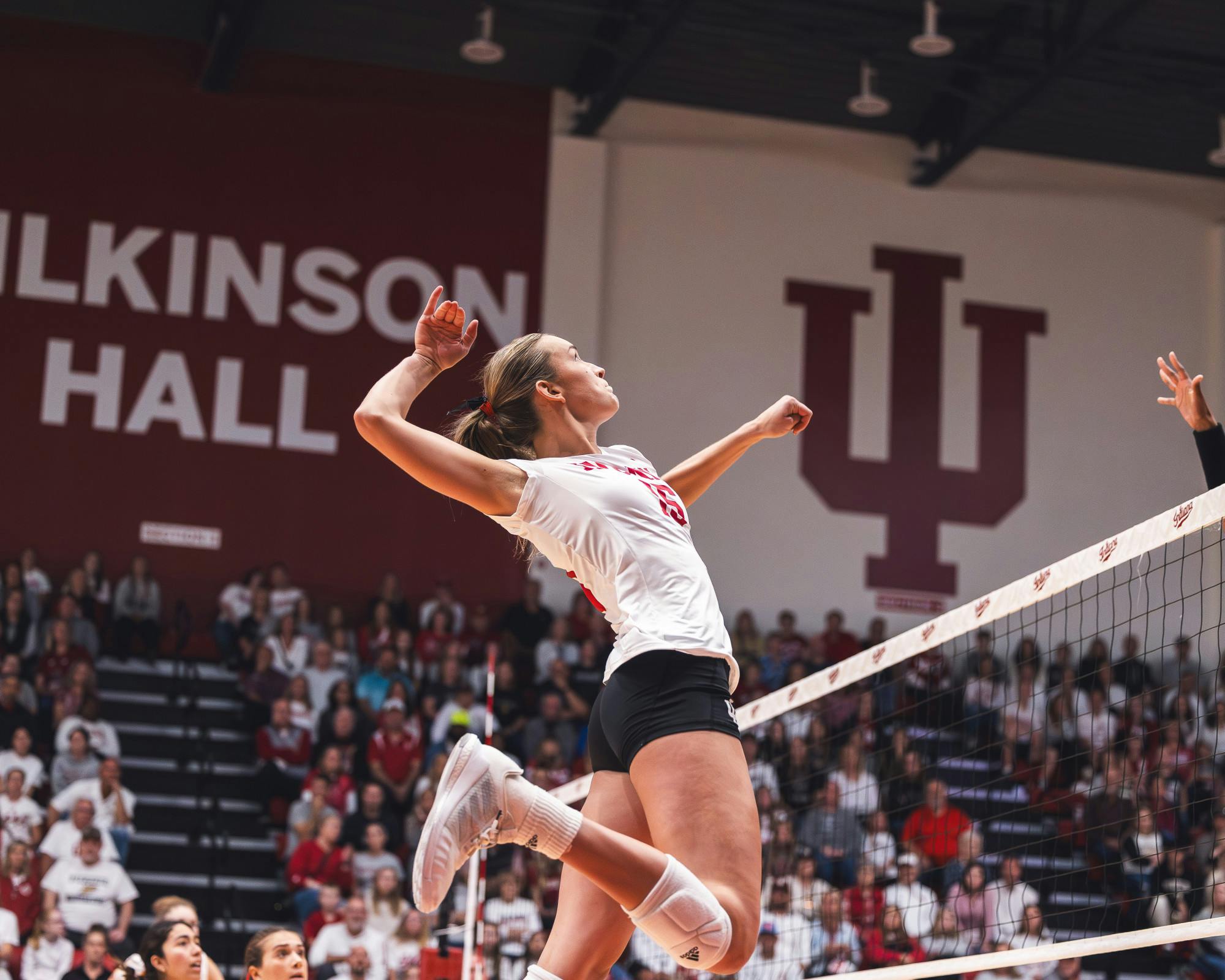 IU vs Purdue VB23.jpg The Hoosier Network