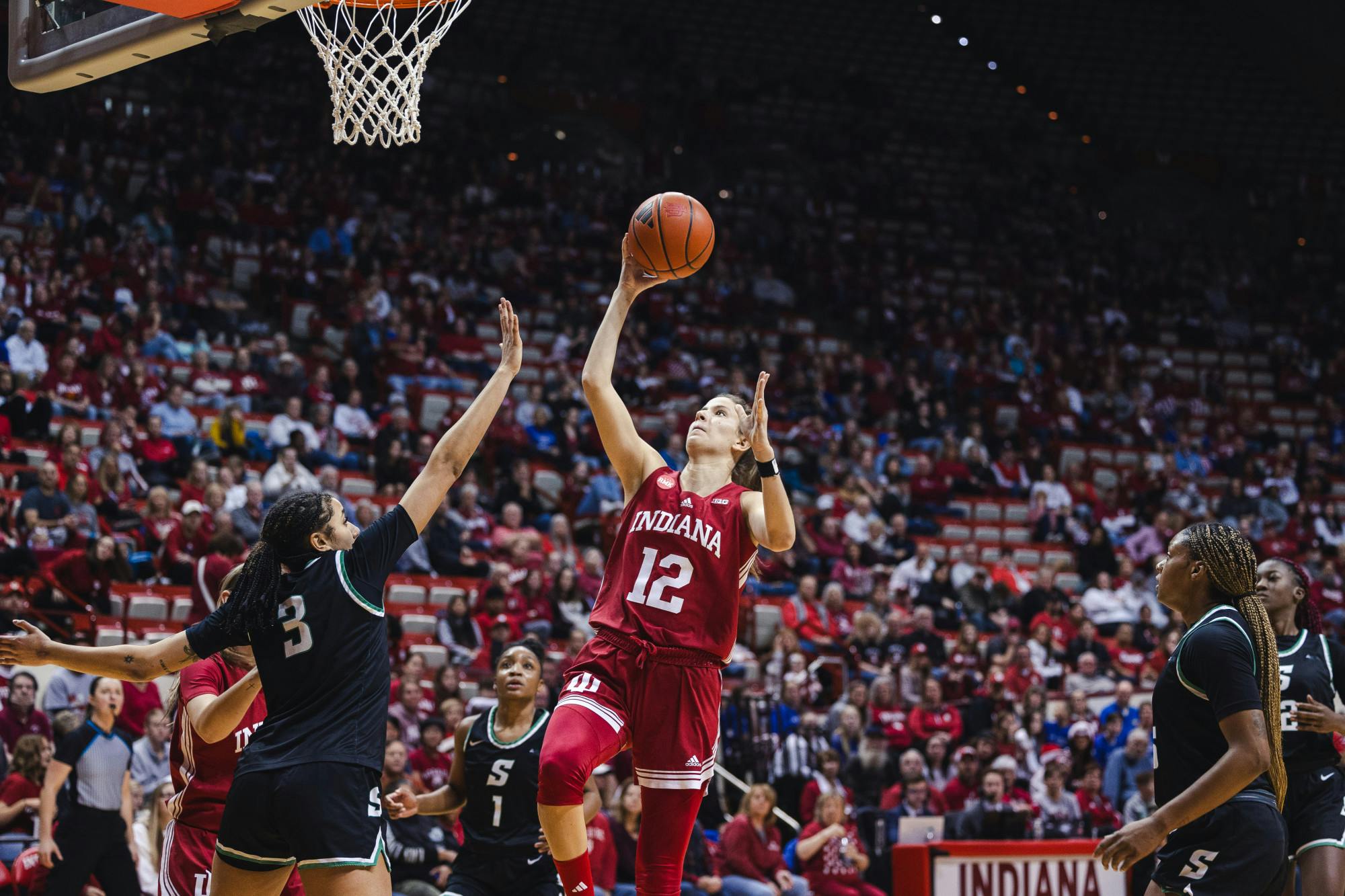 IU vs Stetson WBB-11.jpg