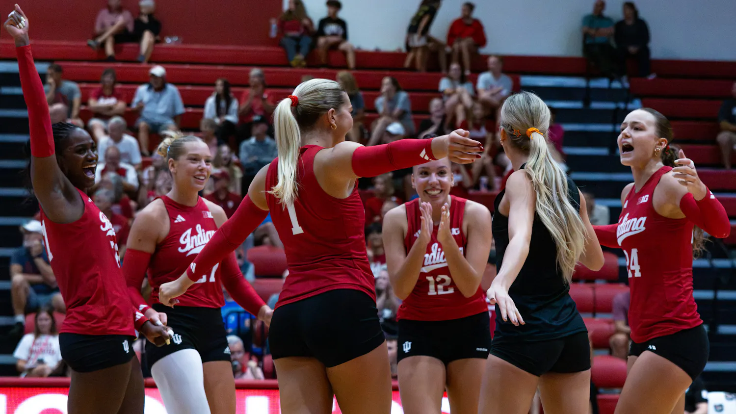 Volleyball