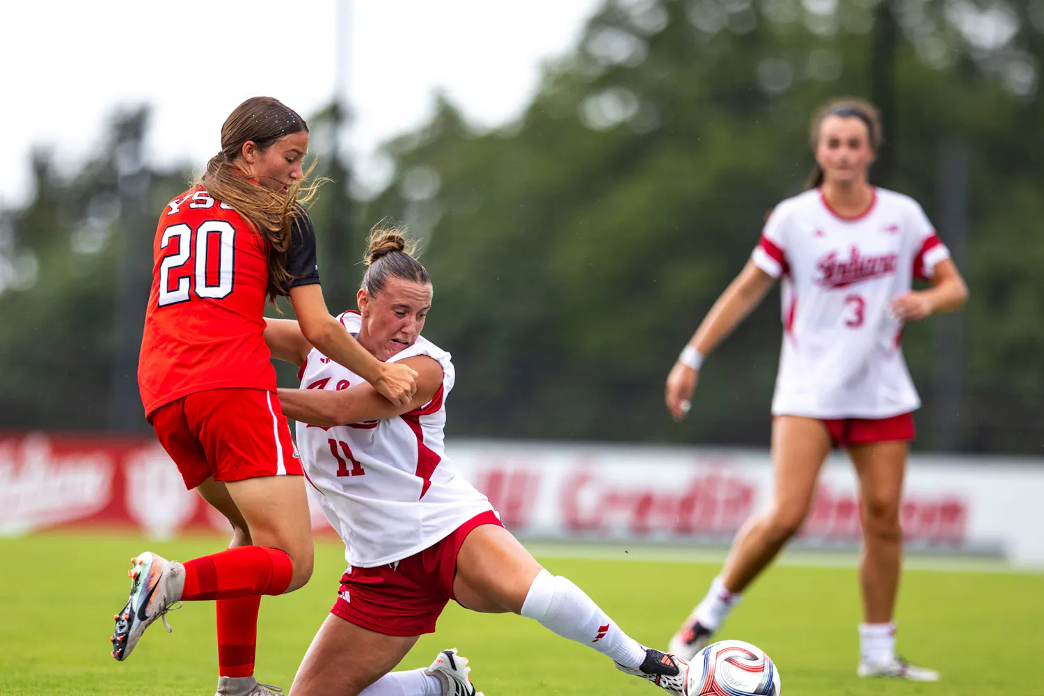 IU-YSU1