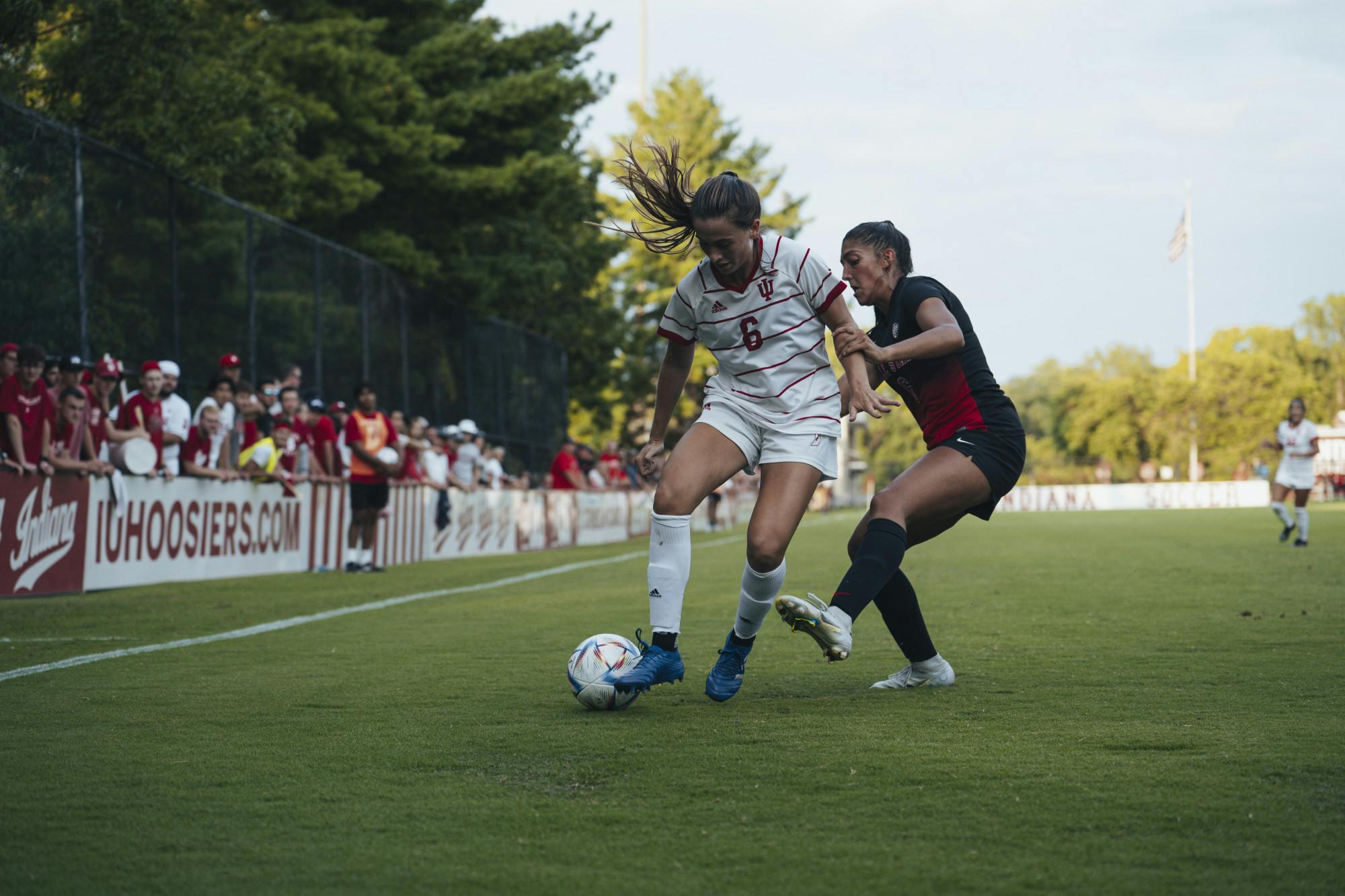 6-shield intense-edited.jpg