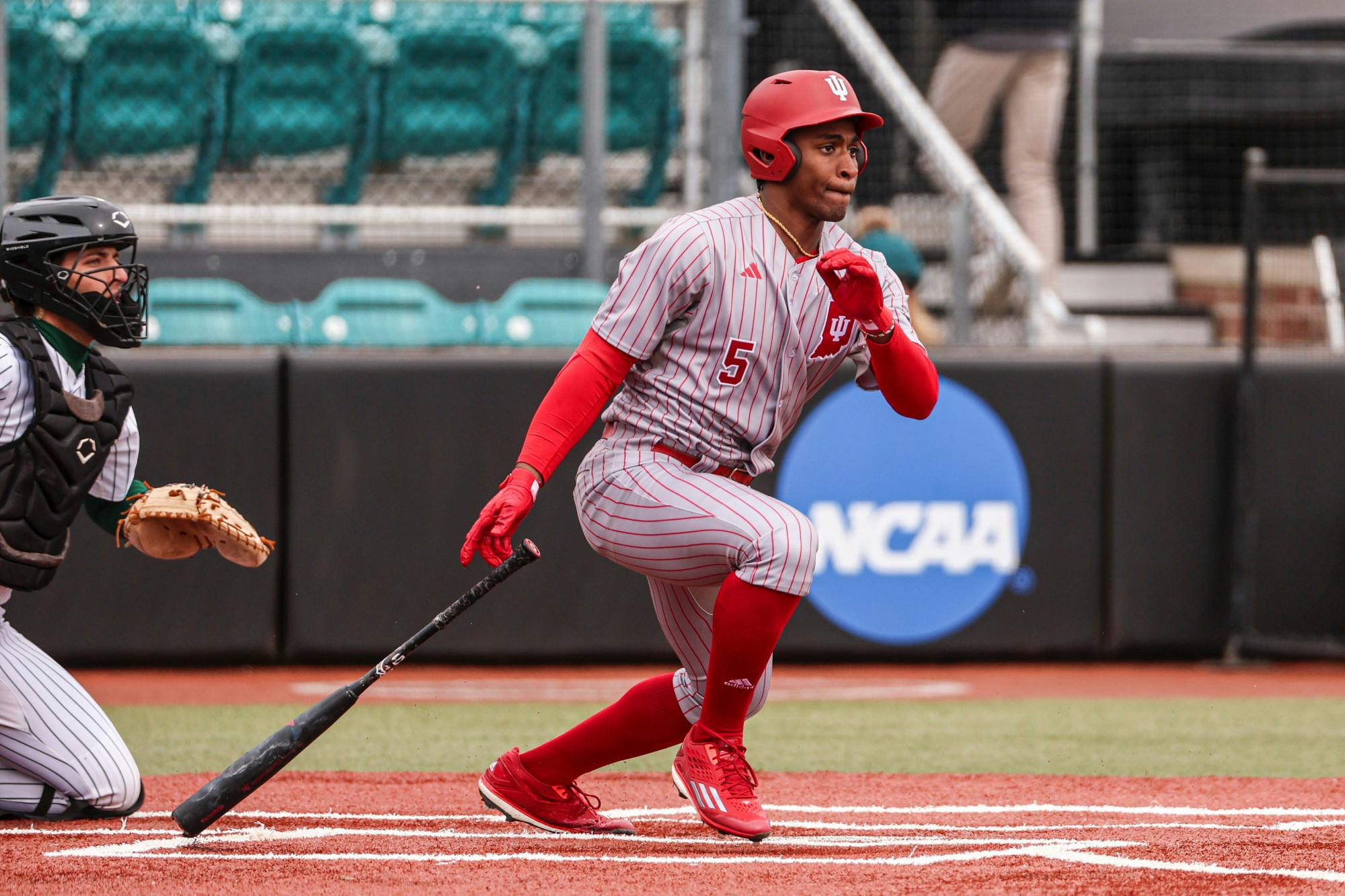 image_123650291 (1).JPG