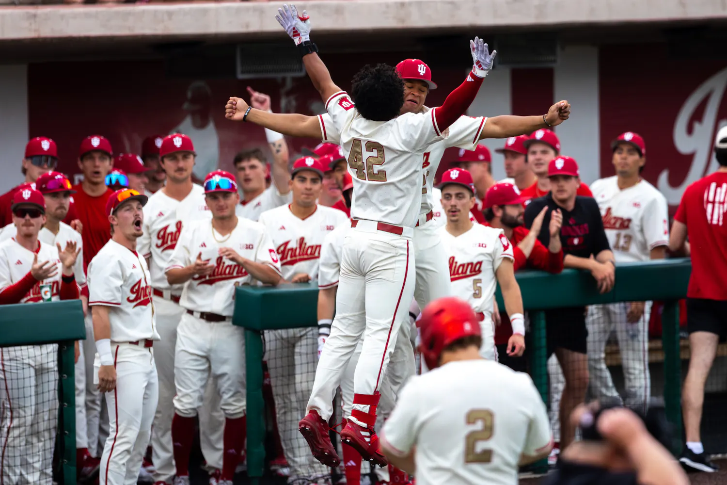 Teammates celebrate with Brayden Ricketts (42) after his home run during Indiana's win over Abilene Christian on April 17, 2026. (HN photo/Lauren McKinney)