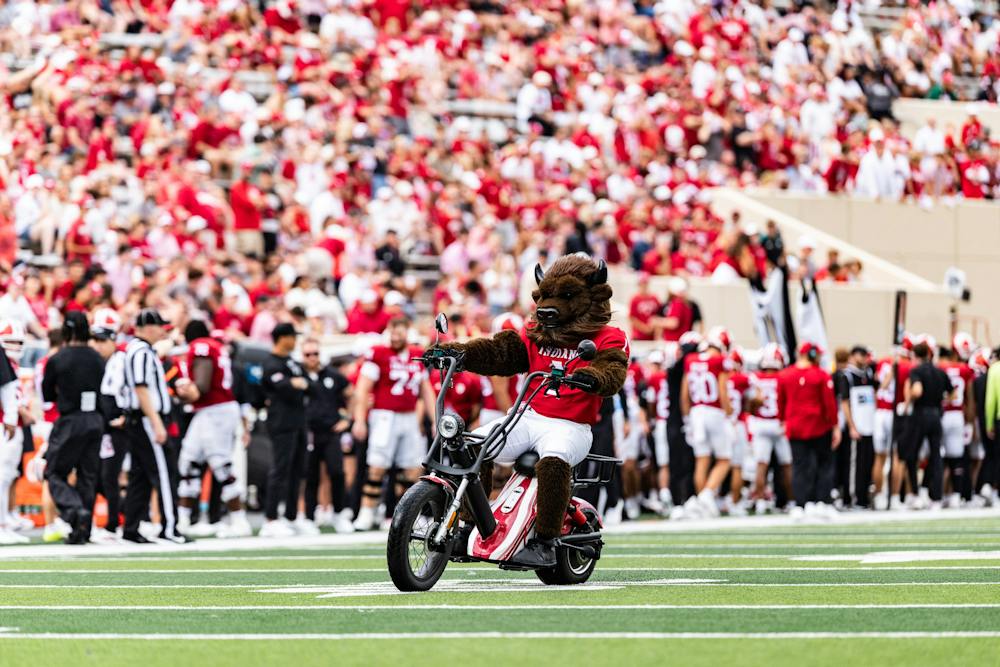 <p>Hoosier the Bison makes his way onto the field pre-game before Indiana defeated Howard on Sept. 12, 2026. (HN Photo/Bailey Hardin)﻿</p>