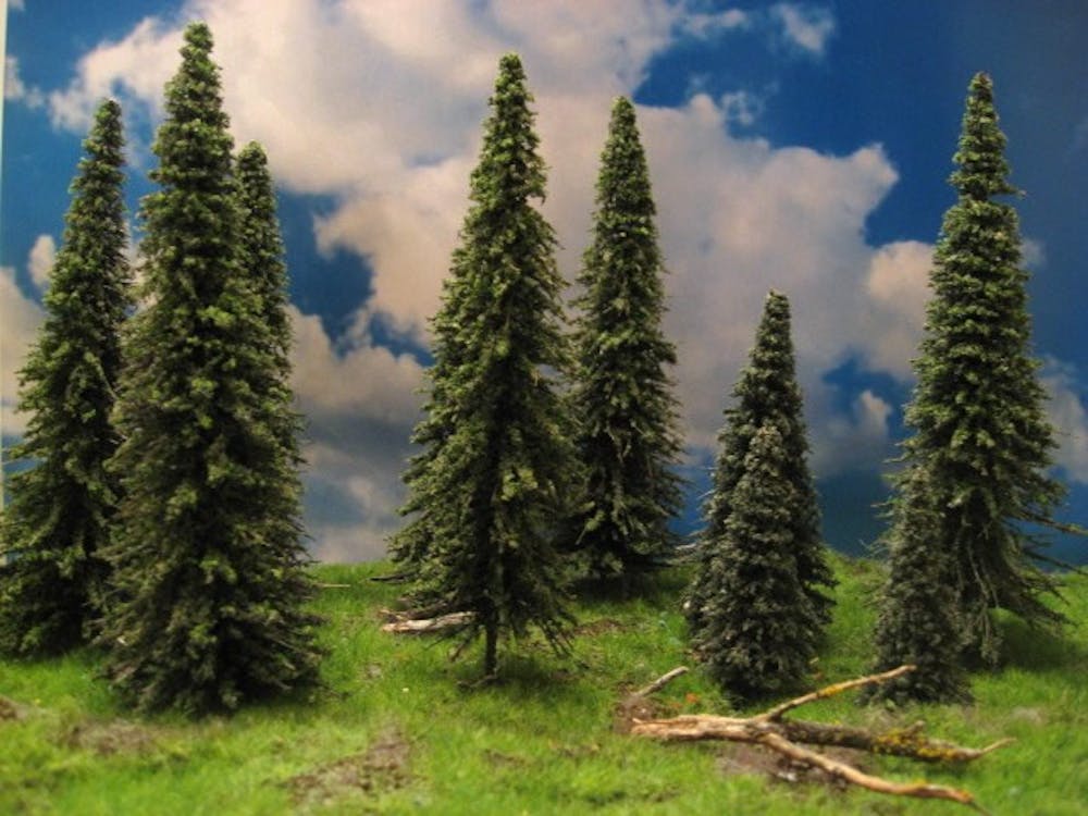 pine_trees3-300x225