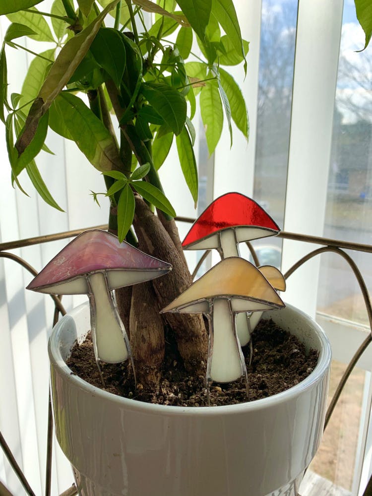 Mushroom-Stakes-scaled