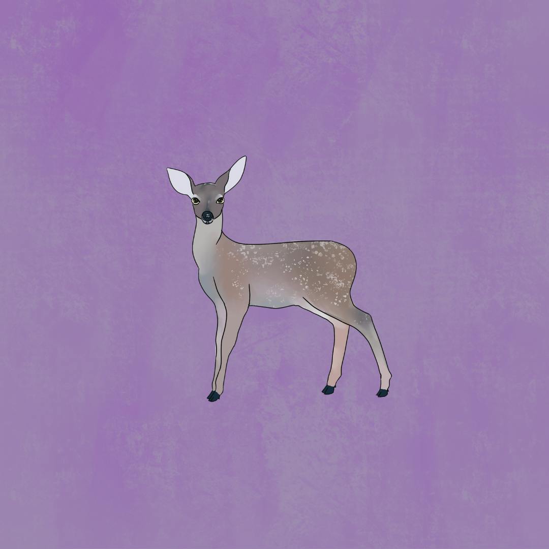 doe-eyed logo - Sadie Clutter.png