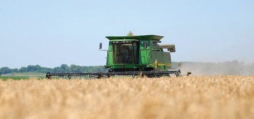 Wheat Harvest