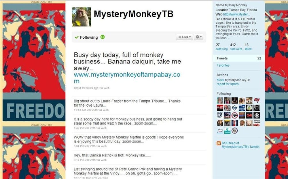 The Mystery Monkey manages to maintain a Twitter feed while on the run in Tampa Bay, Fla.