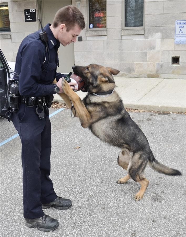 Police Dog