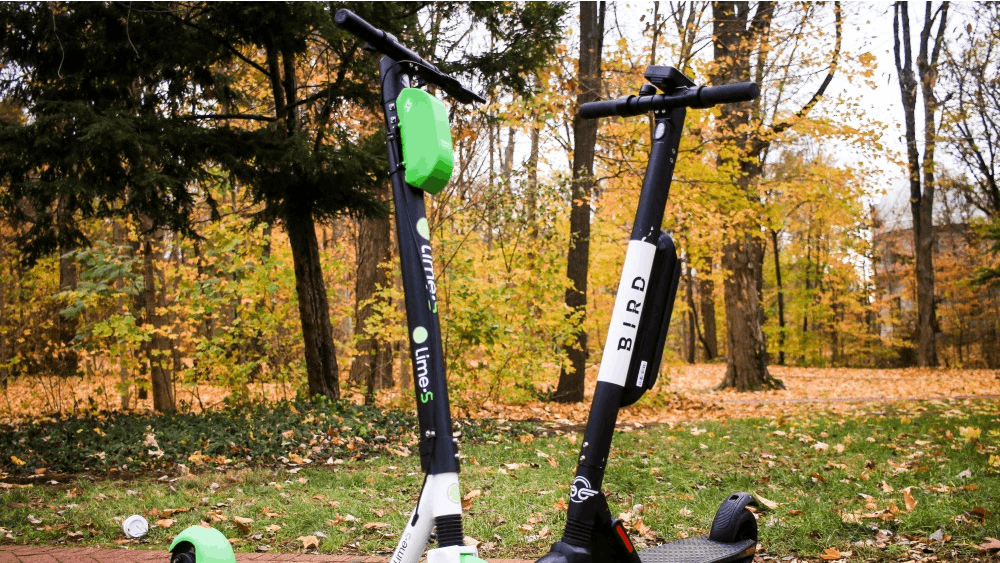 A Bird and Lime scooter are set across from each other in front of Dunn's Woods. Bird and Lime electric scooter companies signed an agreement with the City of Bloomington on Wednesday to continue using the city’s parks and right-of-way to operate their businesses.