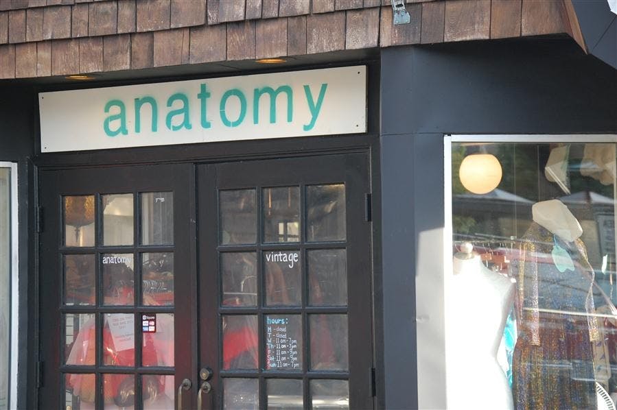 Anatomy