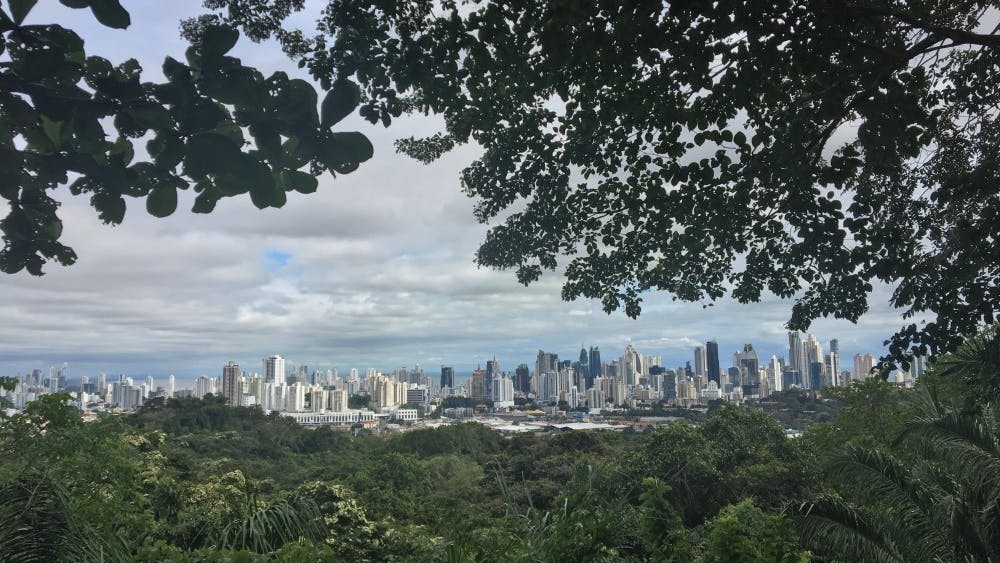 Junior Alyxandria Sundheimer caught a view of Panama City while hiking during her dance service trip. She went on the trip with IU's chapter of Movement Exchange.&nbsp;