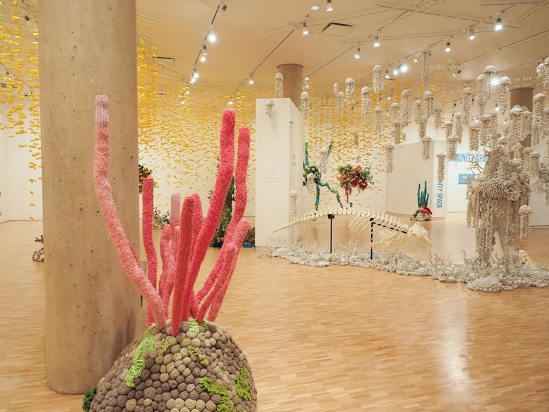 Tides of creation: New IU Eskenazi Museum exhibit explores ocean biodiversity through art