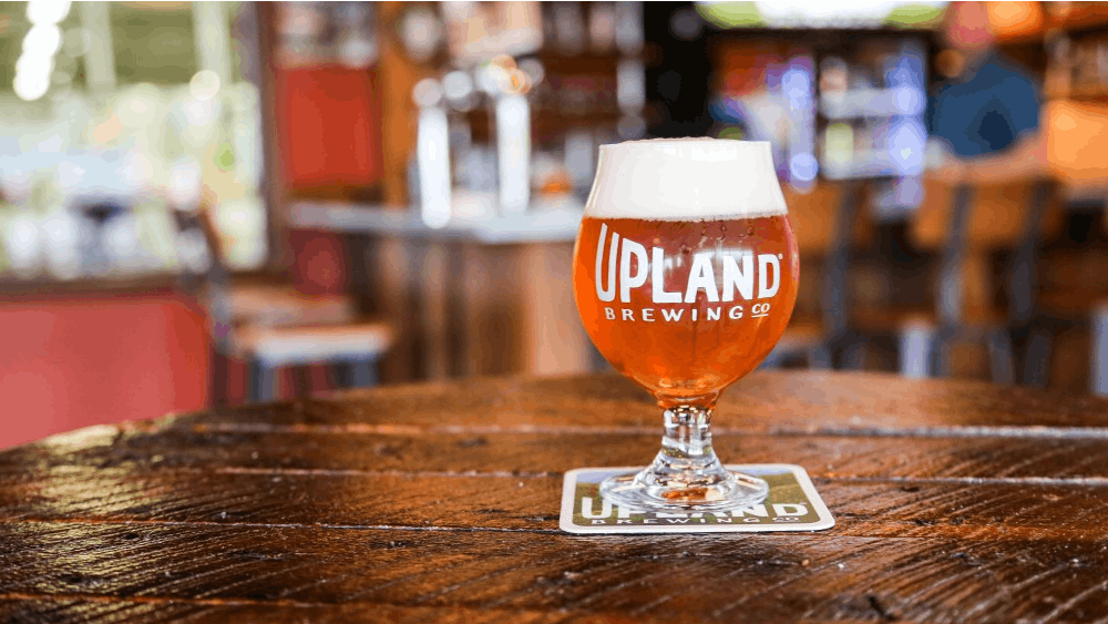 A glass of beer sits on a table in Upland Brewing Company. The restaurant announced its 2019 beer lineup on Jan. 9, including two new IPAs and a winter seasonal beer to be debuted later in the year.