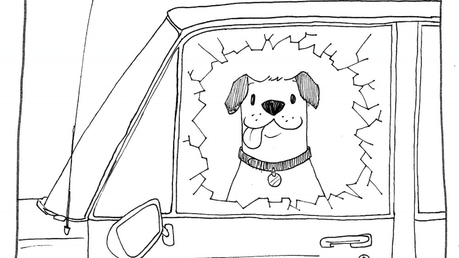 ILLO: Dog window