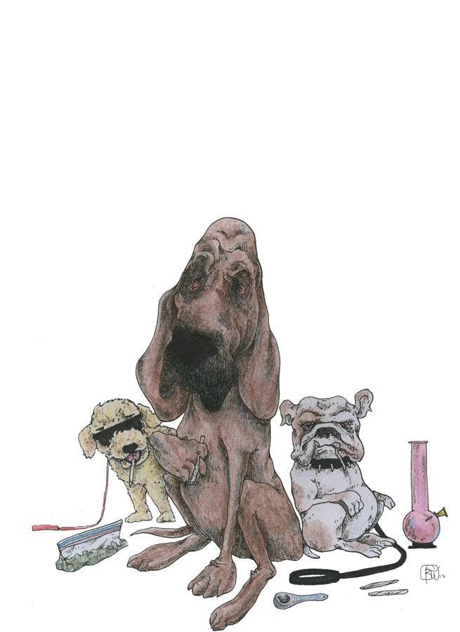 Good dogs don't do dope. 