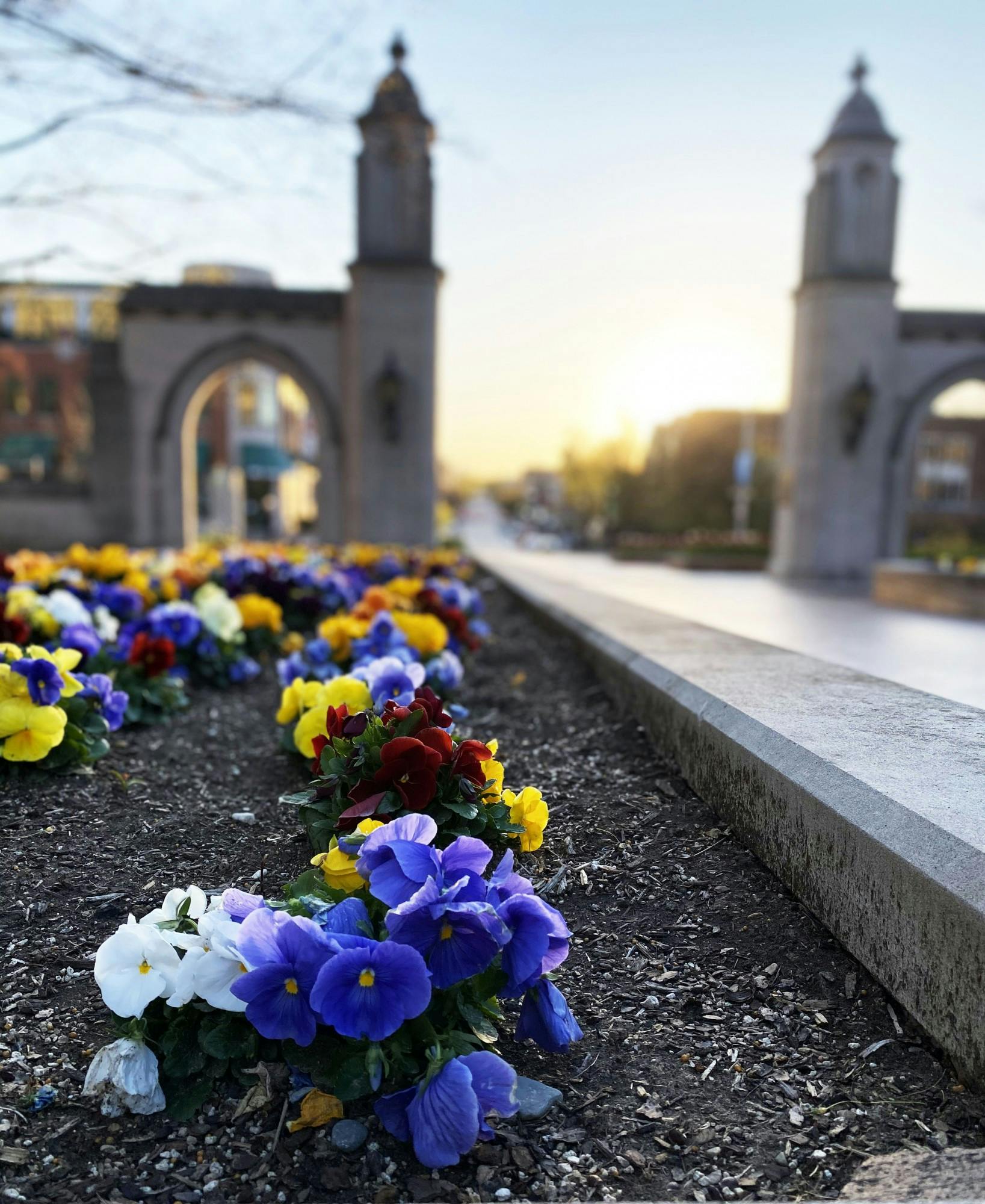 Sunset at Sample Gates .jpg