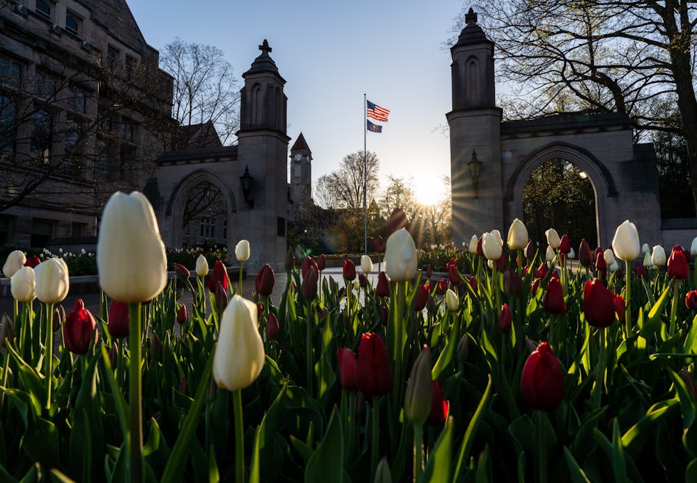 <p>Tulips bloom at sunrise April 21 in front of the Sample Gates. Out-of-state tuition distinctions will remain the same despite the effects brought on by COVID-19, according to IU spokesperson Chuck Carney.</p>