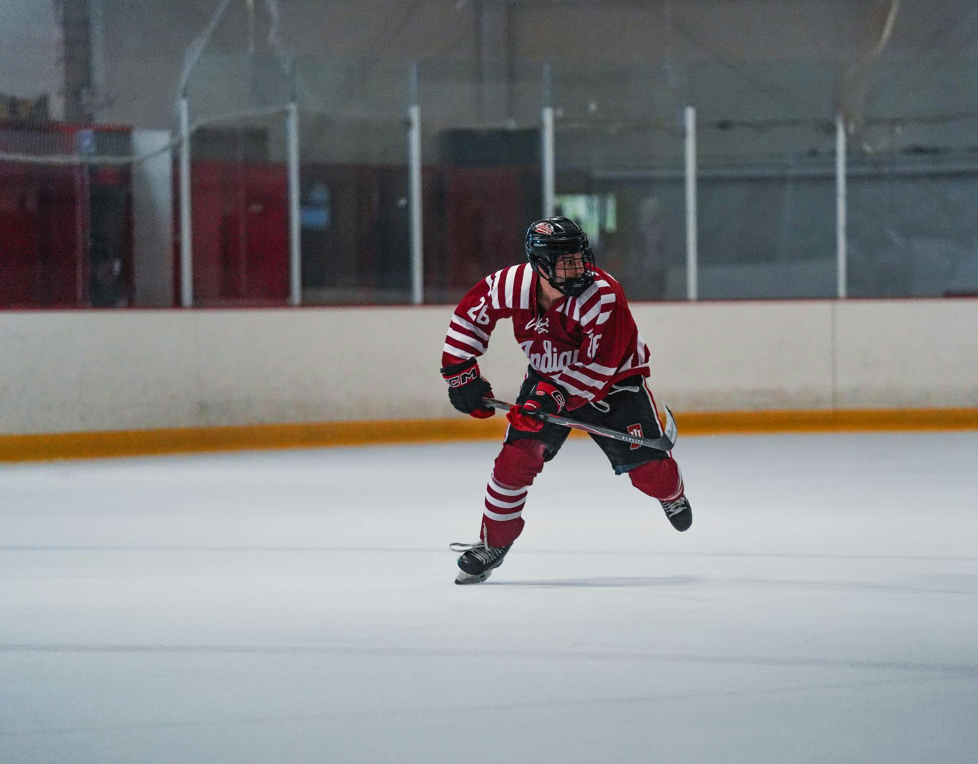 vid3hockeyjpg-6