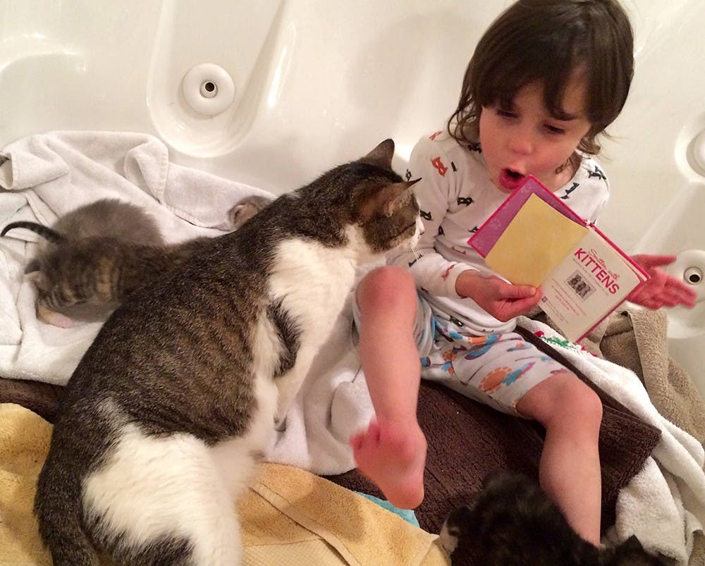 Juniper French, 4, reads a book about kittens to a nursing mother cat. Juniper’s parents, professors of practice Kelley and Thomas French, fostered the cats recently for Bloomington Animal Shelter.