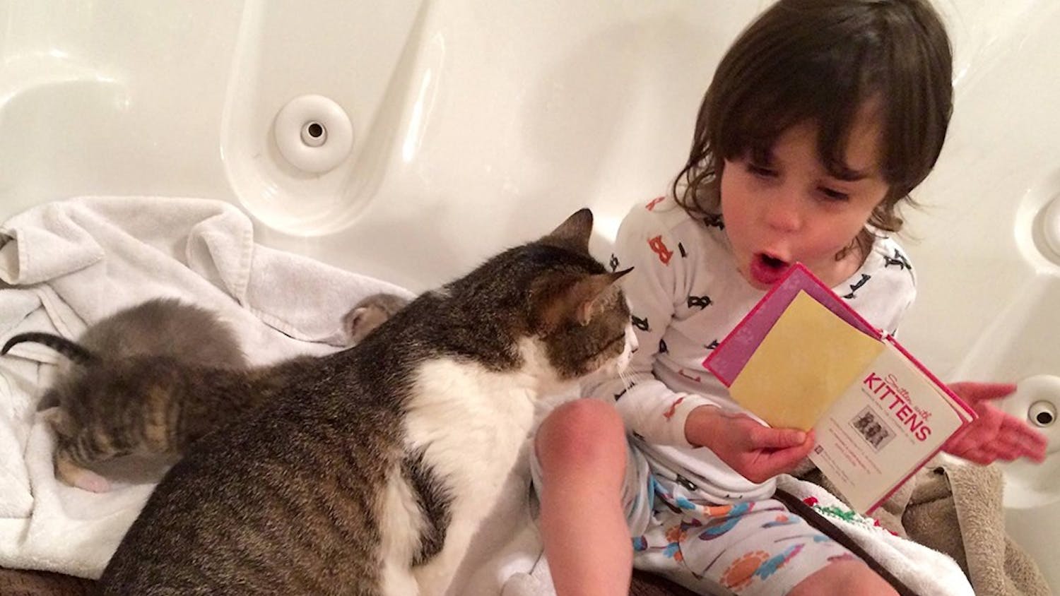 Juniper French, 4, reads a book about kittens to a nursing mother cat. Juniper’s parents, professors of practice Kelley and Thomas French, fostered the cats recently for Bloomington Animal Shelter.