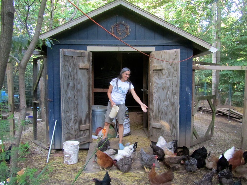 Julie James, an adviser at SPEA, feeds the chickens on her organic farm in Bloomington. Though she leads a vegan lifestyle, she makes an exception for her chickens' eggs.