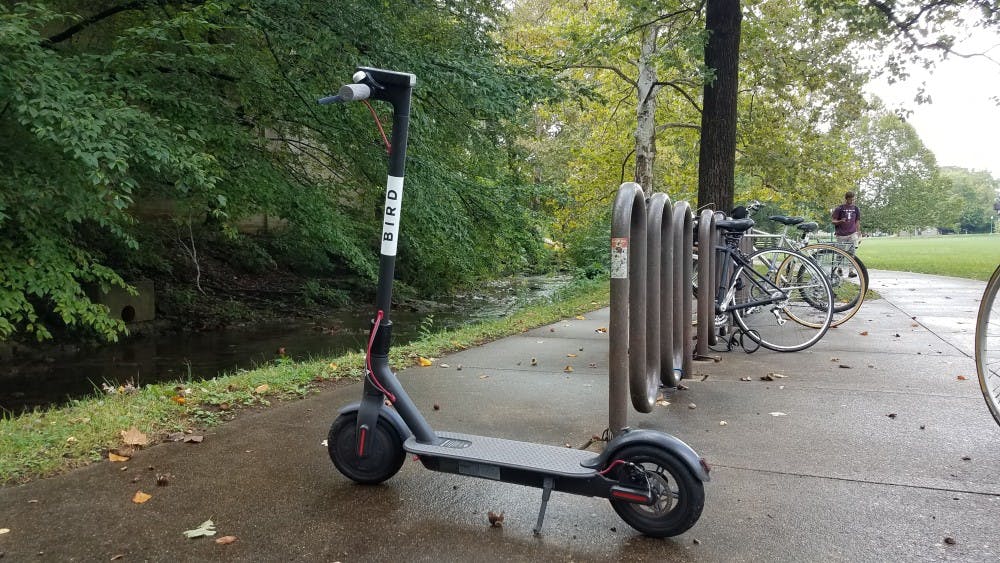 Bird Scooter 