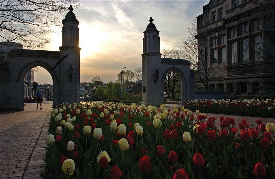 Sample Gates