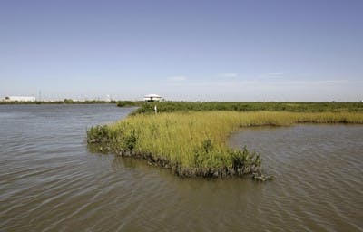 Katrina Oil Canals