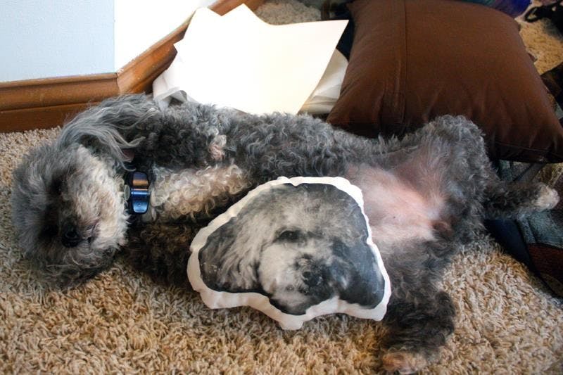 PILLOW PETS!!!