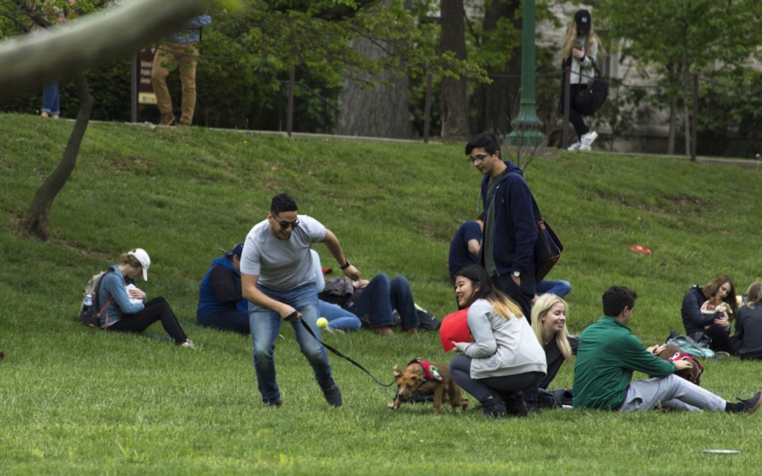 Students gathered in Dunn Meadow Thursday afternoon to participate in the annual Rent-a-Puppy event.