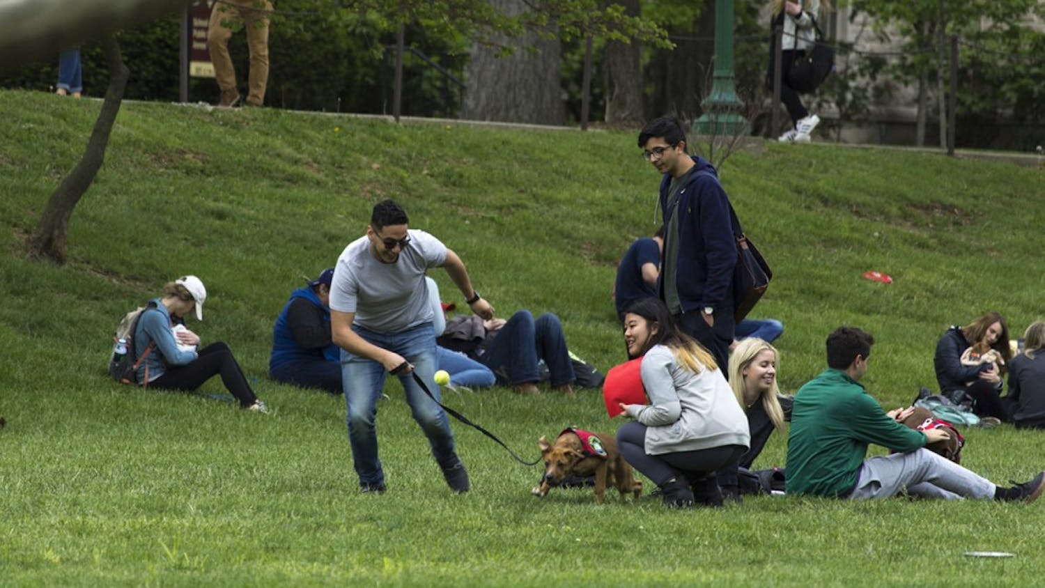Students gathered in Dunn Meadow Thursday afternoon to participate in the annual Rent-a-Puppy event.