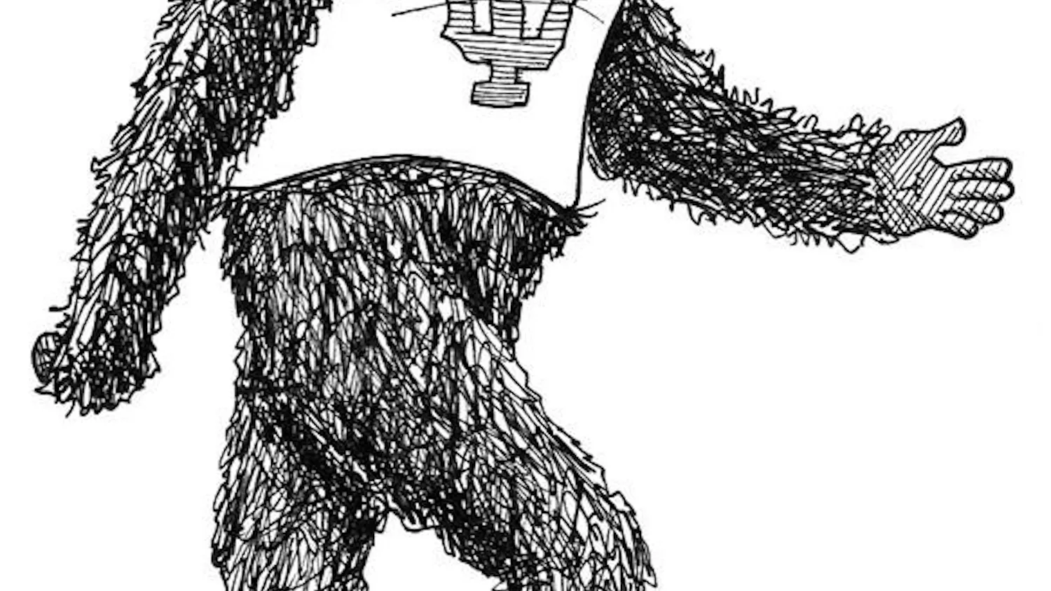 Finding Bigfoot