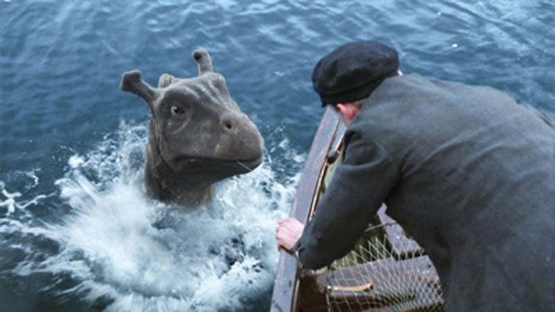 Revolution Studios', Walden Media's, and Beacon Pictures' The Water Horse: Legend of the Deep is the story of a young boy who brings home a magical egg -- and soon finds himself raising an amazing creature, Crusoe (pictured), the mythical "water horse" of Scottish lore.  