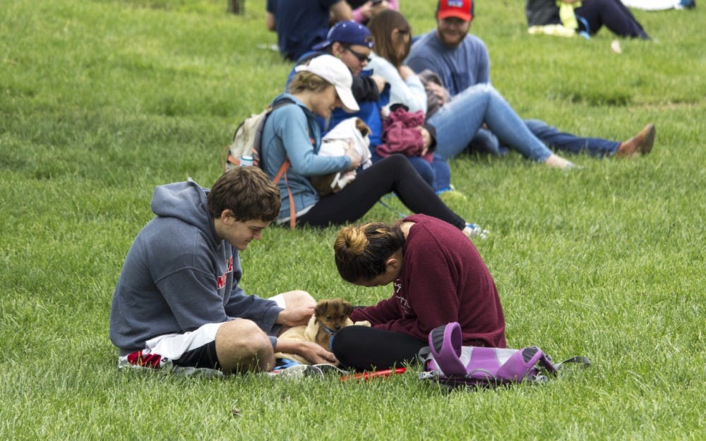 Students gathered in Dunn Meadow Thursday afternoon to participate in the annual Rent-a-Puppy event.