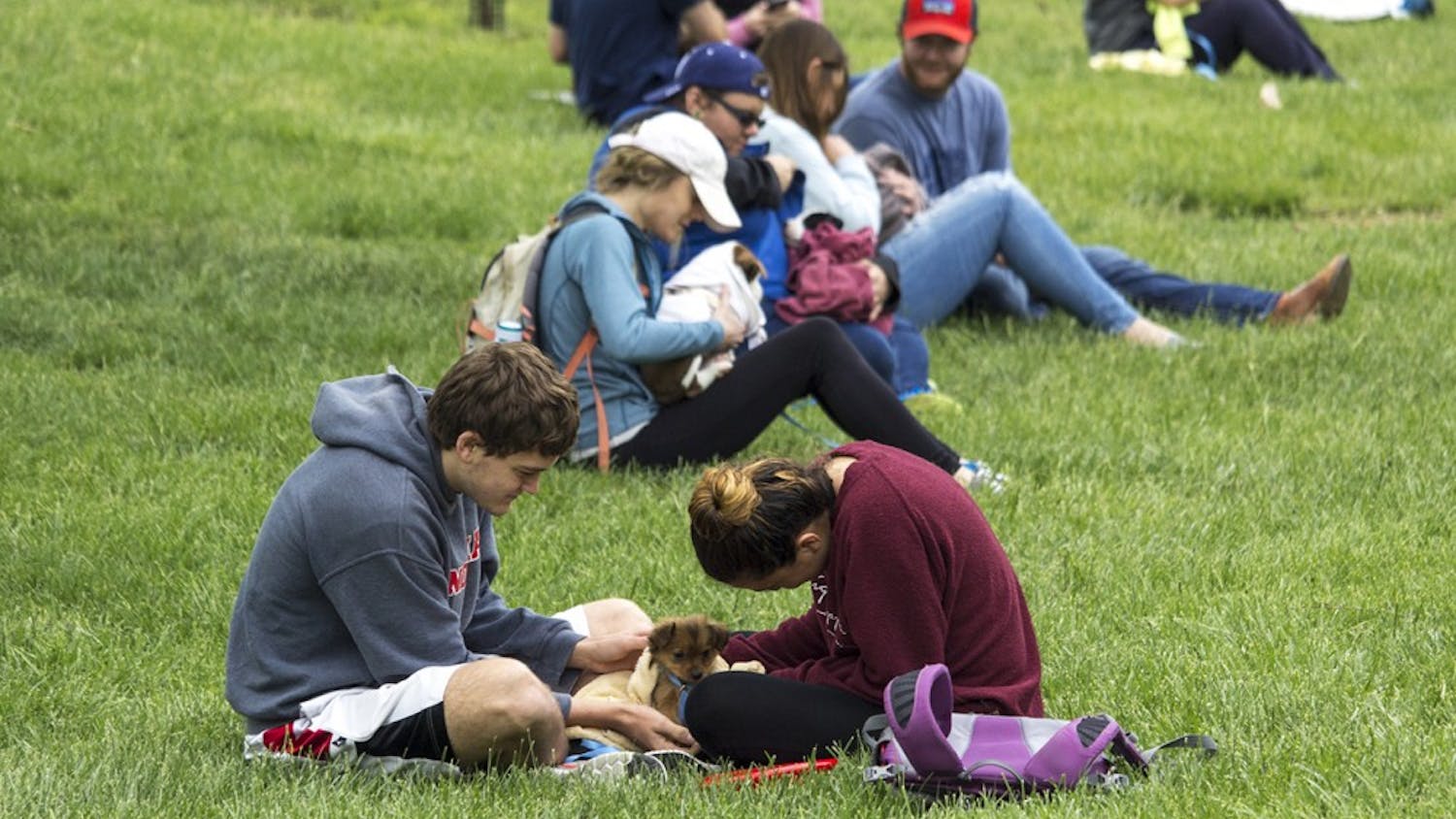 Students gathered in Dunn Meadow Thursday afternoon to participate in the annual Rent-a-Puppy event.